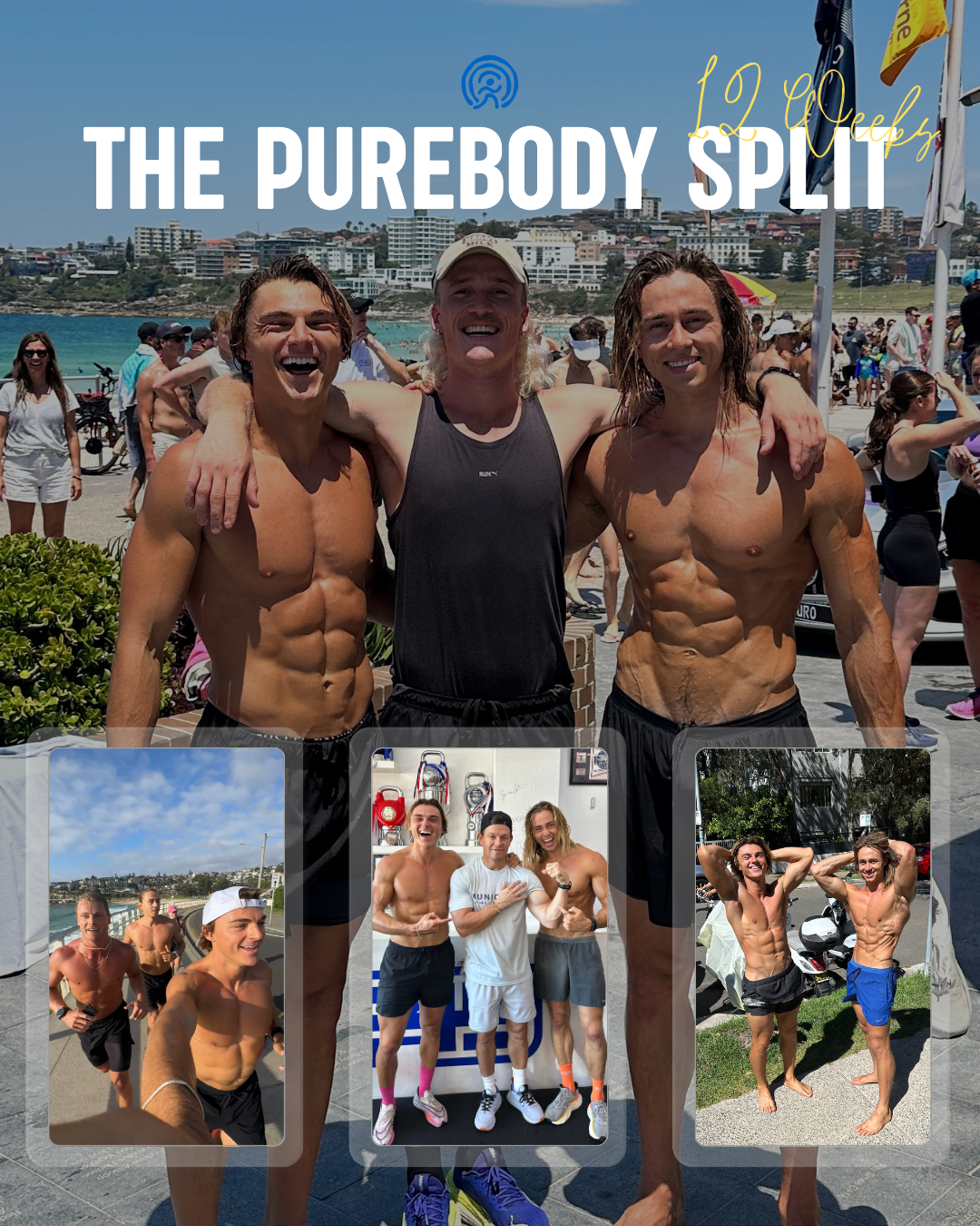 The Purebody Split