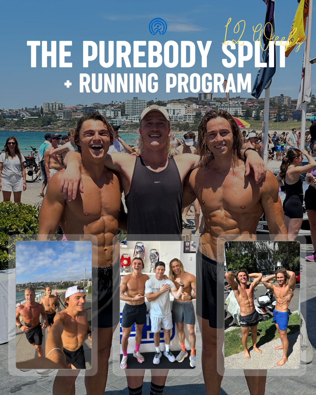 The Purebody Split